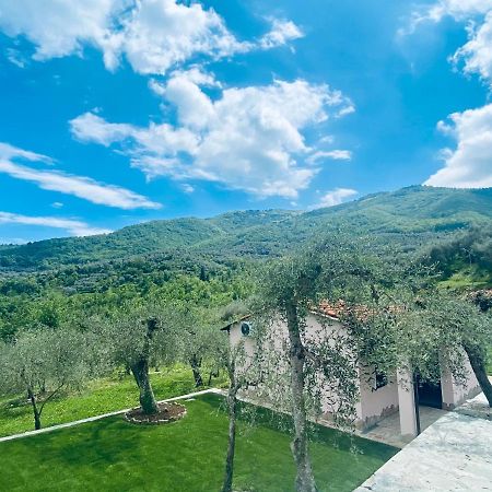 Casa Vacanze Gli Ulivi Borgomaro Exteriör bild