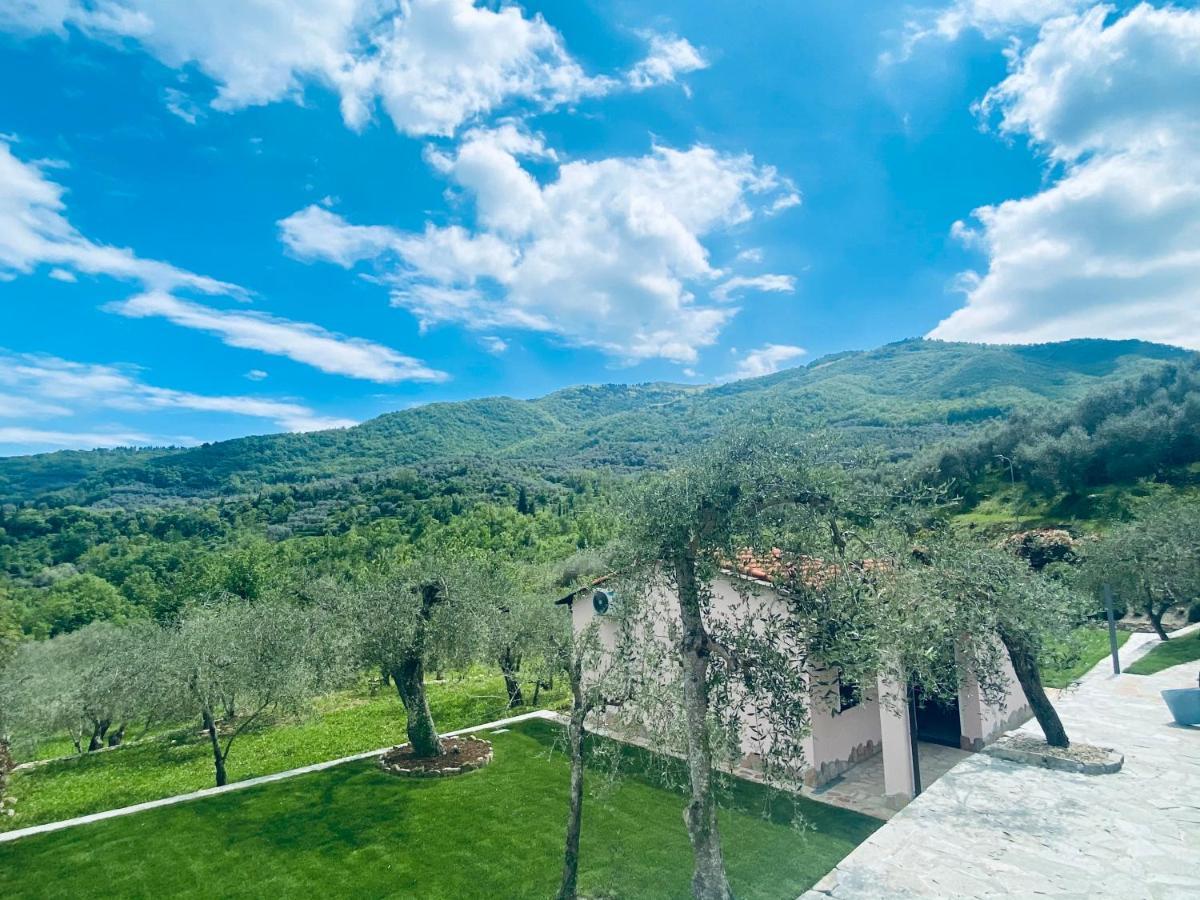 Casa Vacanze Gli Ulivi Borgomaro Exteriör bild