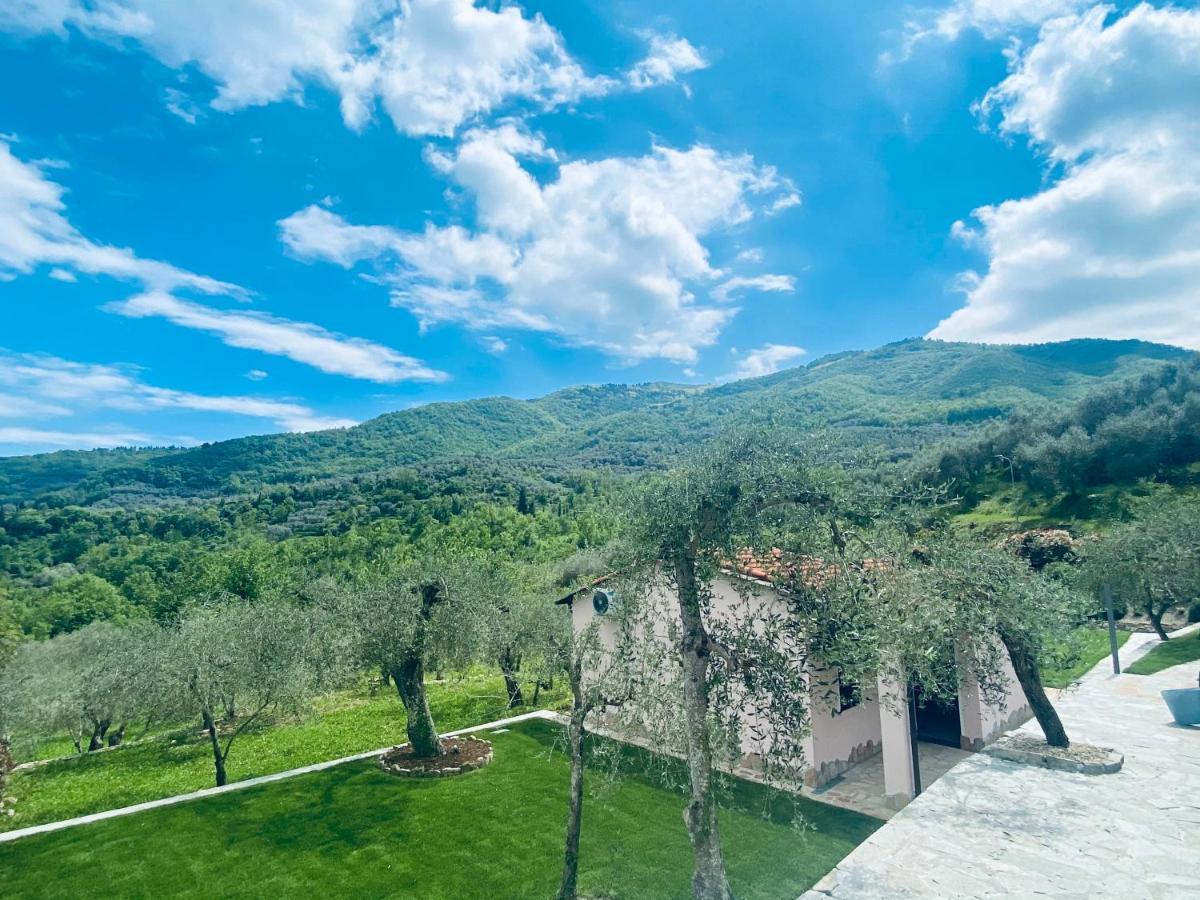 Casa Vacanze Gli Ulivi Villa Borgomaro Exteriör bild