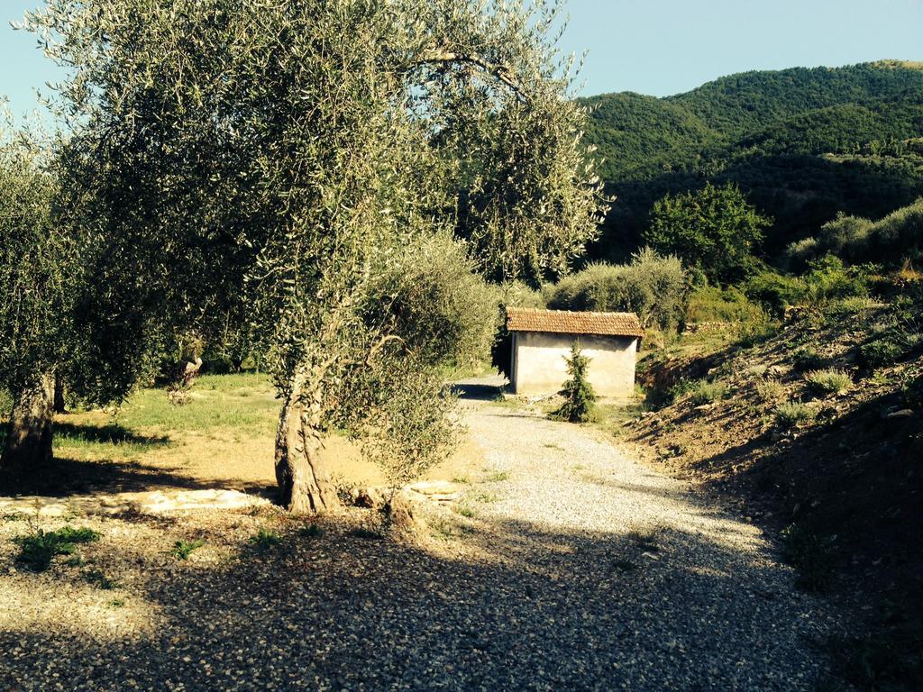 Casa Vacanze Gli Ulivi Borgomaro Rum bild
