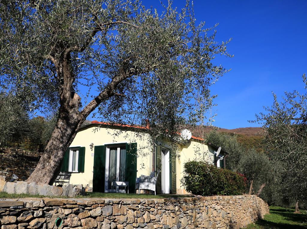 Casa Vacanze Gli Ulivi Borgomaro Exteriör bild